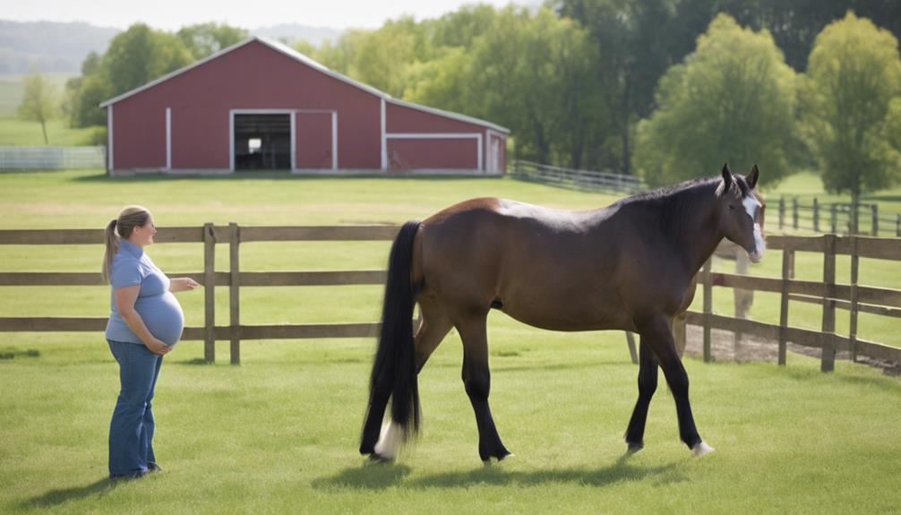 caring for pregnant mares