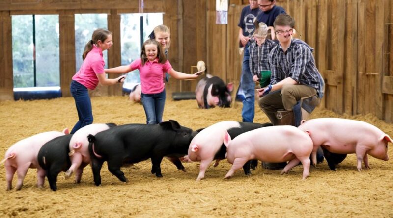 local pig showmanship classes