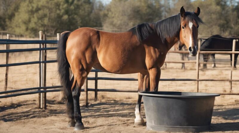 interpreting horse behavior cues