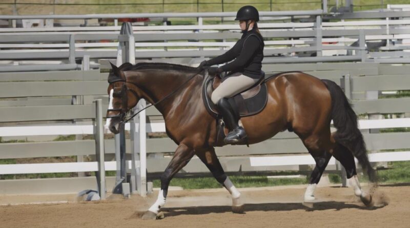 horse riding safety measures