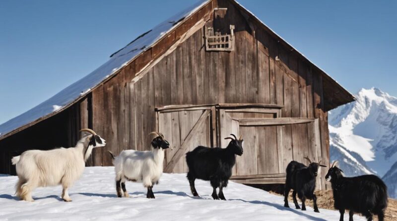 best goats for cold